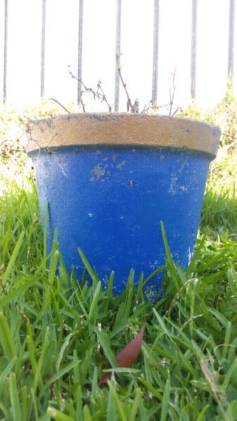 1 x blue pot for plants