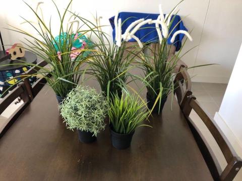 IKEA Artifical Potted Plants Grass Rosemary