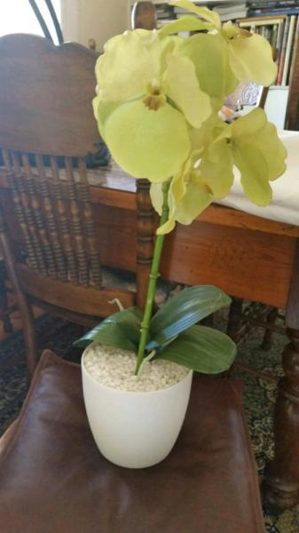 FAUX ORCHID IN POT - NEW