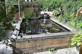 Large base from water feature, fish pond, inground water feature