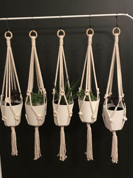 Wanted: Pot Plant Hangers