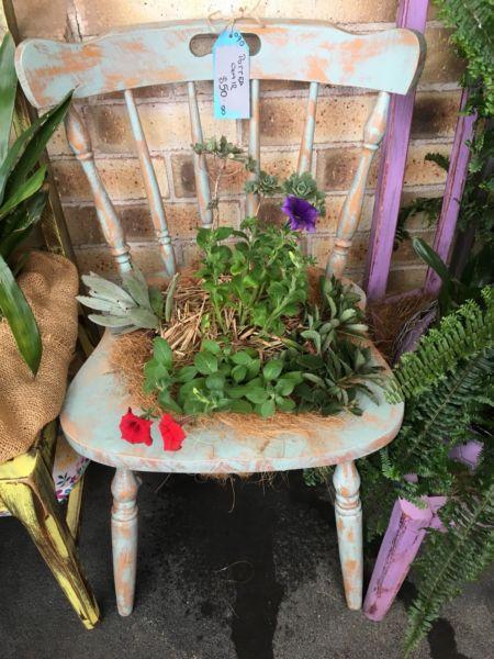 Potted Chair