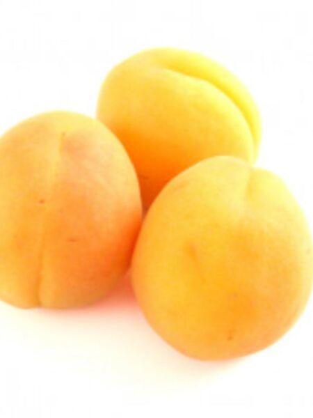 Wanted apricots
