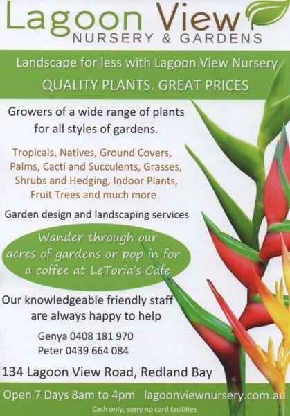 Plants - QLD's Cheapest Retail Prices