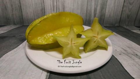 Star Fruit Tree - Carambola