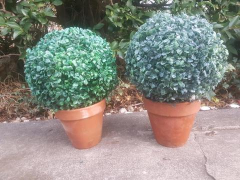 Two Terracotta Topiary pots