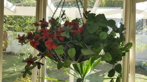 Four Wire Hanging Baskets