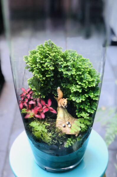 Eco-Terrarium/ Glass Vase/ Magical Garden/ Squirrel Land/ Plant