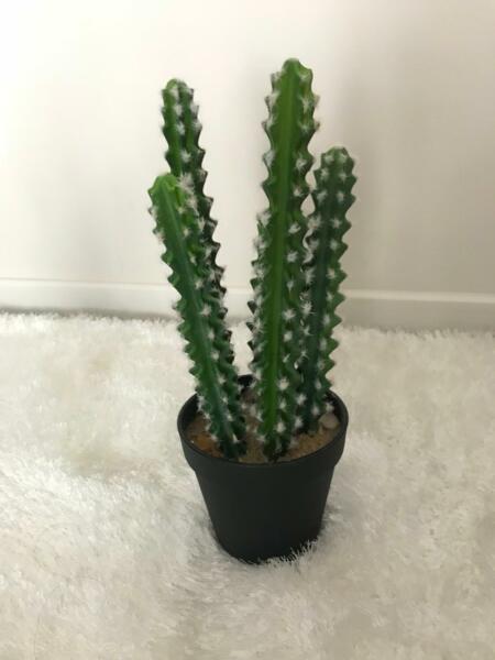 Faux cactus potted plant