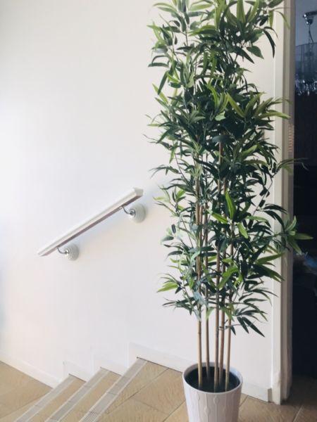 Artificial bamboo plant in white pot