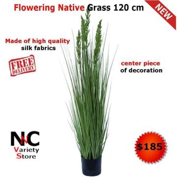Flowering Native Grass 120 cm