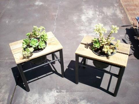 Plant Stand with Plant