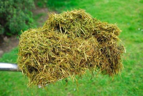 Free Grass Clippings - Make organic compost