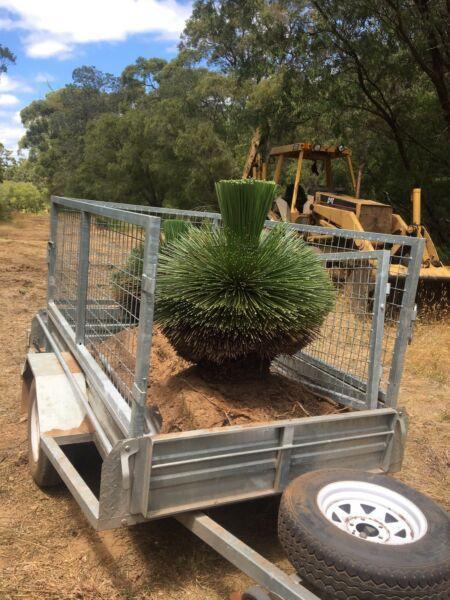 Grass trees black boys up to 1m high dug & loaded $200 @ Margaret R