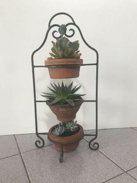 Plants (Succulents) Pots & 3 tier French Metal Iron Stand