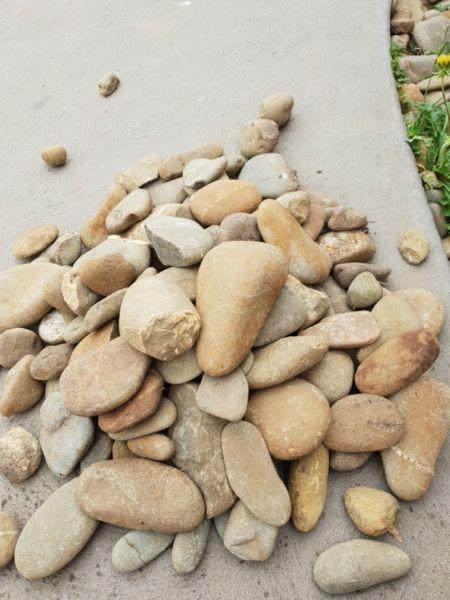 River pebbles free to good home