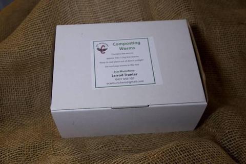 Compost Worms Booster Box