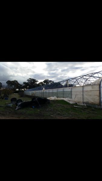 commercial size GREENHOUSE