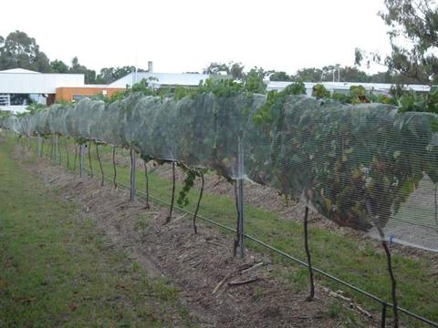 Side netting for Vines - 1.2m x 500m Rolls, White - 18 Available
