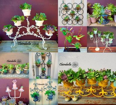 Clairabella - all your rustic, vintage, upcycled succulent needs