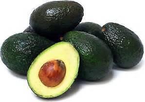 AVOCADO PLANTS FROM $20 PAW PAW BANANA MULBERRY GUAVA PLUS