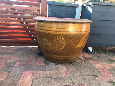 Beautiful Large Terracotta Plant Pot