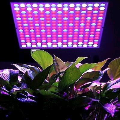 Excelvan 14W 225 SMD LED Hydroponic Plant Grow Light & Lighting P