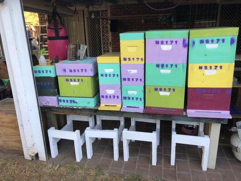Bee hives 10frame