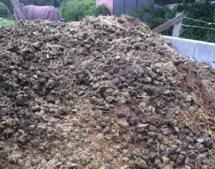 Horse Manure trailer loads or small amounts