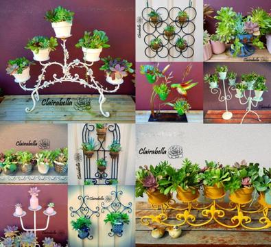 Clairabella - for all your vintage and rustic succulent needs