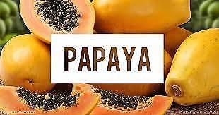 PAWPAW PLANTS AVAILABLE TO DAY BANANA PASSIONFRUIT PLUS MORE