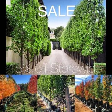 ONLINE TREE NURSERY SALE - 15% off Storewide