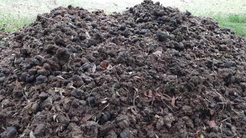 Free Composted Horse Manure