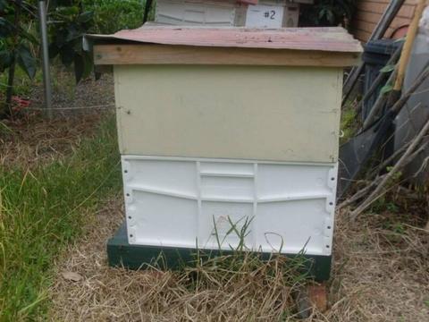 BEEHIVE, including bees