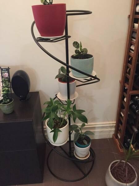 Wanted: This Plant Stand