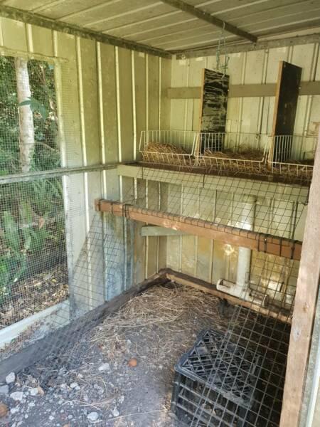 Large chicken coop for sale