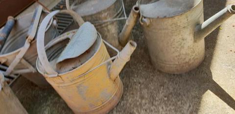 Vintage Watering cans and bucket