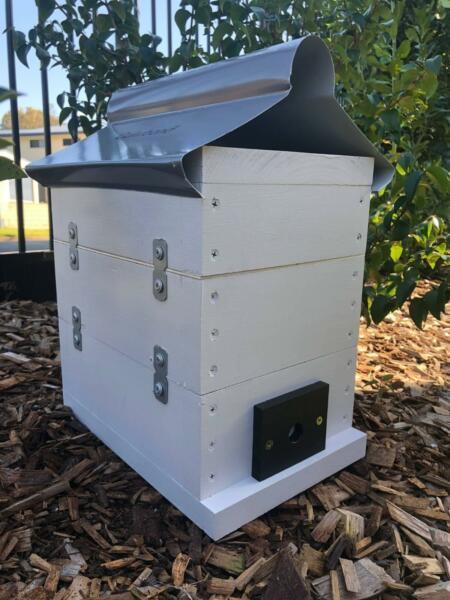Stingless Native Beehive Painted With Roof | OATH Bee Hive