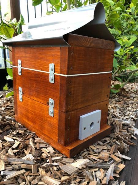 Stingless Native OATH Bee Hive | Stained Honey Pot BeeHive Roof