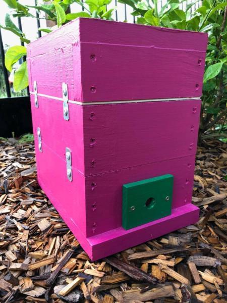 Stingless Native Beehive OATH Honey Pot | Bee Hive Custom Painted