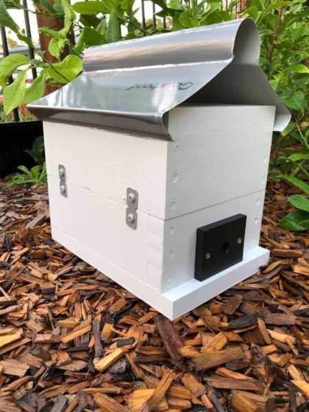 Stingless Native Bee Hive With Roof | Painted | OATH BeeHive