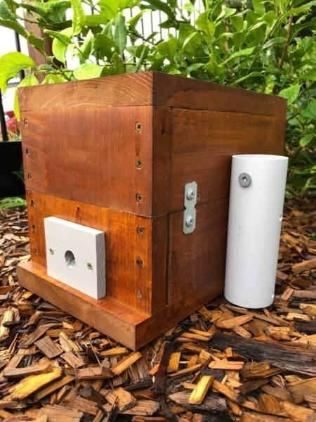 Stingless Native Beehive | Stained | OATH Bee Hive