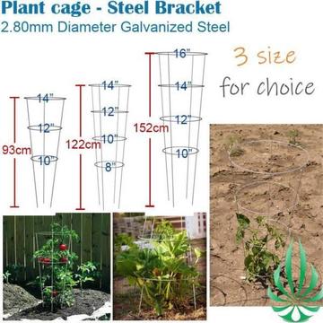 Galvanized Plant cage trainer tomato cage 3 size 92cm 122cm 152cm