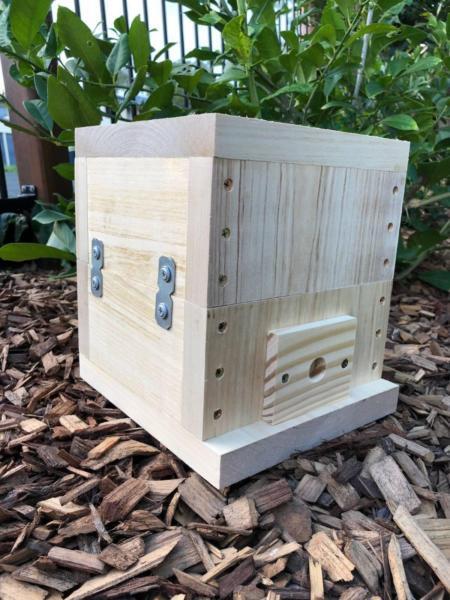Stingless Native Beehive | Bare Timber | Mini OATH Bee Hive