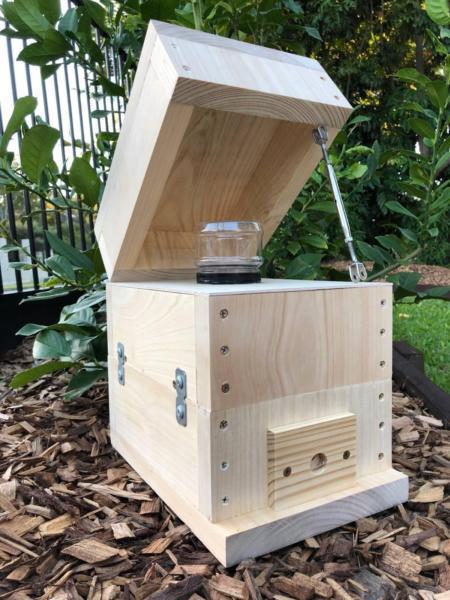 Stingless Native Beehive Honey Jar | Bare Timber | OATH Bee Hive
