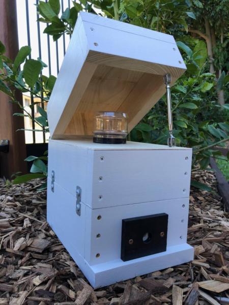 Stingless Native Beehive Honey Jar | Painted | OATH Bee Hive