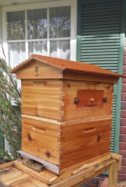 Wanted | A Place to keep bee hives | Casey Area