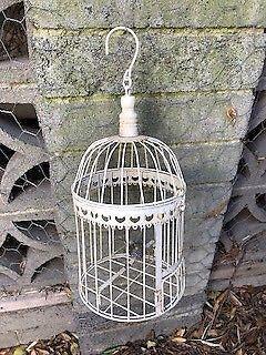 Bird cage and bird