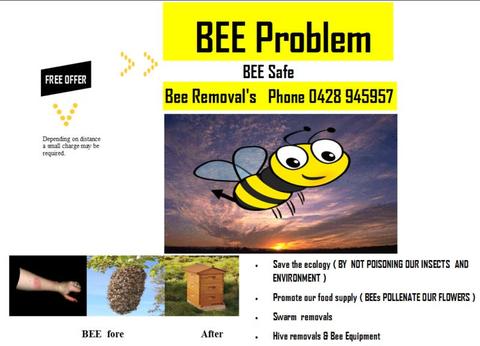 Bee Removals/free swarm removal