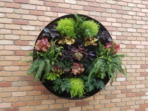 Vertical gardens direct to the public